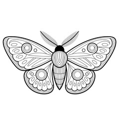 A black and white moth illustration line art of a coloring page