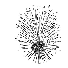 Monochrome Firework Burst: Festive Celebration Art