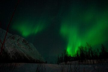 Aurore bor&eacute;ale sur S&oslash;rbotn et ses montagnes, Troms&oslash;, Norv&egrave;ge