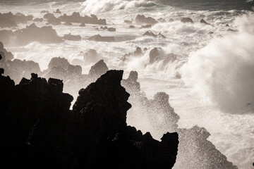 big waves in Porto Moniz, Madeira