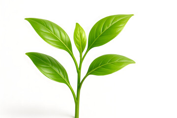 image of a fresh green plant vector. isolated white background
