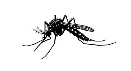 Isolated Detailed Mosquito Illustration for Pest Control