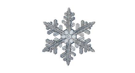 Isolated Snowflake Close-up