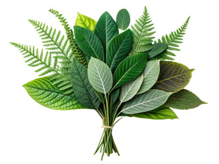 vibrant bouquet of various green leaves, showcasing different shapes and textures, perfect for nature themed designs