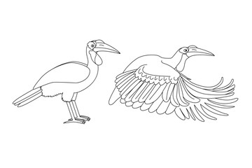 vector Southern ground hornbill birds animal. Cartoon black and white clip art isolated on transparent background. Hand drown design element. Coloring book page  © Vetra Kori