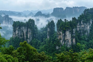 Misty mountains rise through lush forest. Cloudy sky
