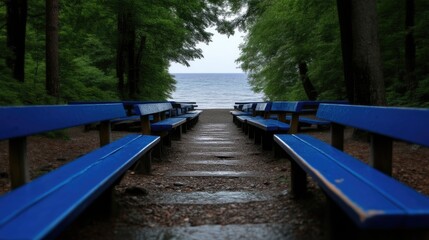 Obraz premium Empty park benches line a path to a lake