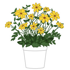 다양한 스타일의 화분, 식물, 실내 식물, 자연, 실내 장식, 꽃, 공기정화 식물, 다양한 크기의 화분