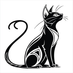 black cat on white background