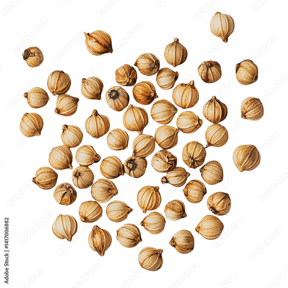 Poster dried coriander seeds scattered showcasing their unique texture and shape. isolated on white backgro
