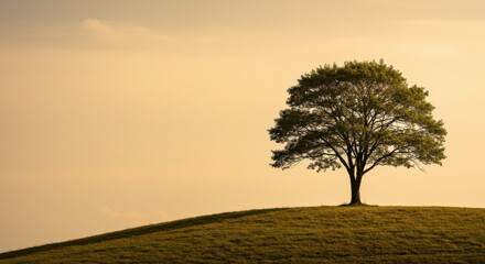 A solitary tree stands on a small hill against a soft, golden background.