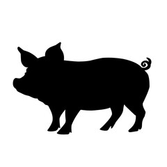 Pig silhouette isolated on white background. vector illustration