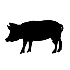 Pig silhouette isolated on white background. vector illustration