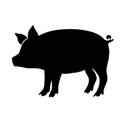 Pig silhouette isolated on white background. vector illustration
