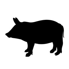 Pig silhouette isolated on white background. vector illustration