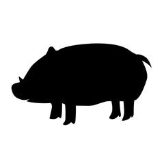 Pig silhouette isolated on white background. vector illustration