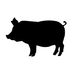 Pig silhouette isolated on white background. vector illustration