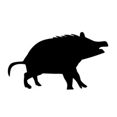 Pig silhouette isolated on white background. vector illustration