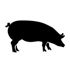 Pig silhouette isolated on white background. vector illustration