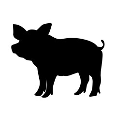 Pig silhouette isolated on white background. vector illustration