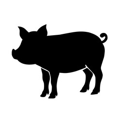 Pig silhouette isolated on white background. vector illustration