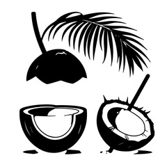 coconut on the beach