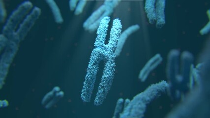 Human X Y chromosomes, karyotype, structure, division. Genetic biological study. Chromosome, autosome research. Gene molecular biology science, genetic, DNA biotechnology research, genome sequence