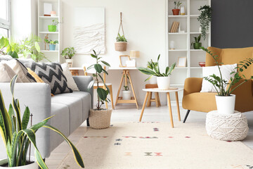 Interior of light living room with green houseplants, sofa and armchair