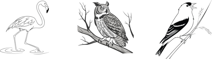 Great Horned Owl, American Goldfinch & Lesser Flamingo Bird Species & Wildlife Facts