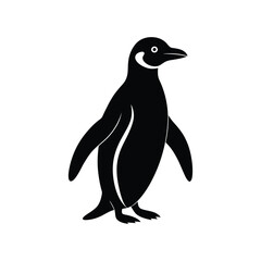 Obraz premium penguin vector art illustration 
