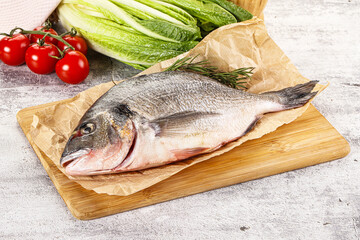 Raw dorada fish served rosemary