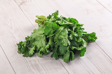Fresh green cilantro branches heap