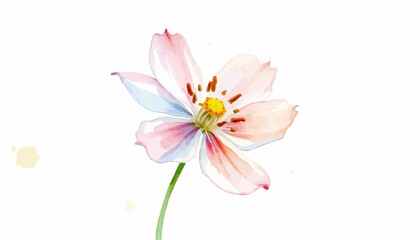 Delicate watercolor flower with soft petals against white background  