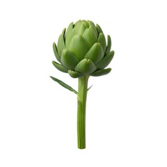 Fototapeta premium Isolated artichoke plant close up on white background