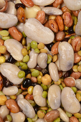 A close-up shot shows a colorful mixture of soaked butter beans, kidney beans, black beans, chickpeas, peas, and lentils