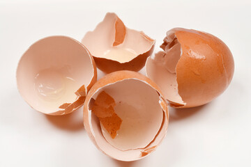 Cracked brown eggshells are arranged on a plain white surface