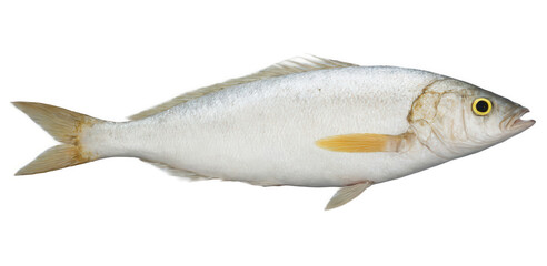 Fried Fish - Fresh fish, typically caught from the Mediterranean or Atlantic, fried to golden perfection and served with lemon,