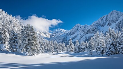 Snow covered trees and mountains under a clear blue sky in a winter wonderland landscape scene