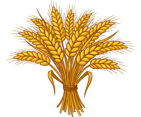 黄金色輝く麦束 豊穣な秋を彩る