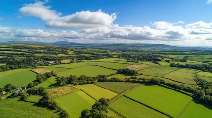 Fototapete Green Fields. Aerial View of Rural Welsh Farmlands from Up High © Vlad