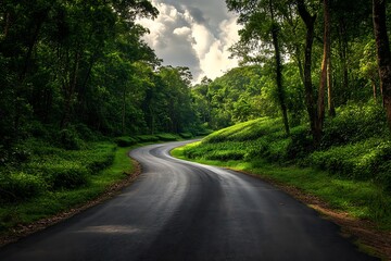 Fototapeta premium Lush Tea Estate Surrounded by Curving Asphalt Road