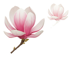 優しく揺れるピンクの花びら 春の柔らかな光