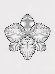 Abstract orchid outline with flowing, wavy lines, art deco style, white background, poster or fabric print design