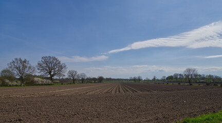 gepflügtes Feld