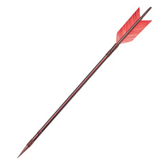 A close-up of a traditional archery arrow featuring vibrant red fletching.