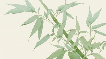 Fototapeta premium Green Bamboo Leaves on a Light Background
