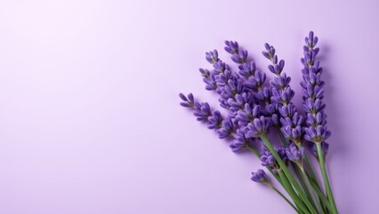 Fototapeta premium Lavender Flowers Against A Violet Background