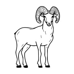 standing bighorn sheep vector illustration
