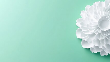 Soft, white flower design on mint green background