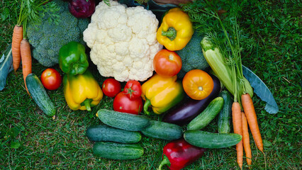 Fresh harvest of colorful vegetables arranged on green grass during the daytime